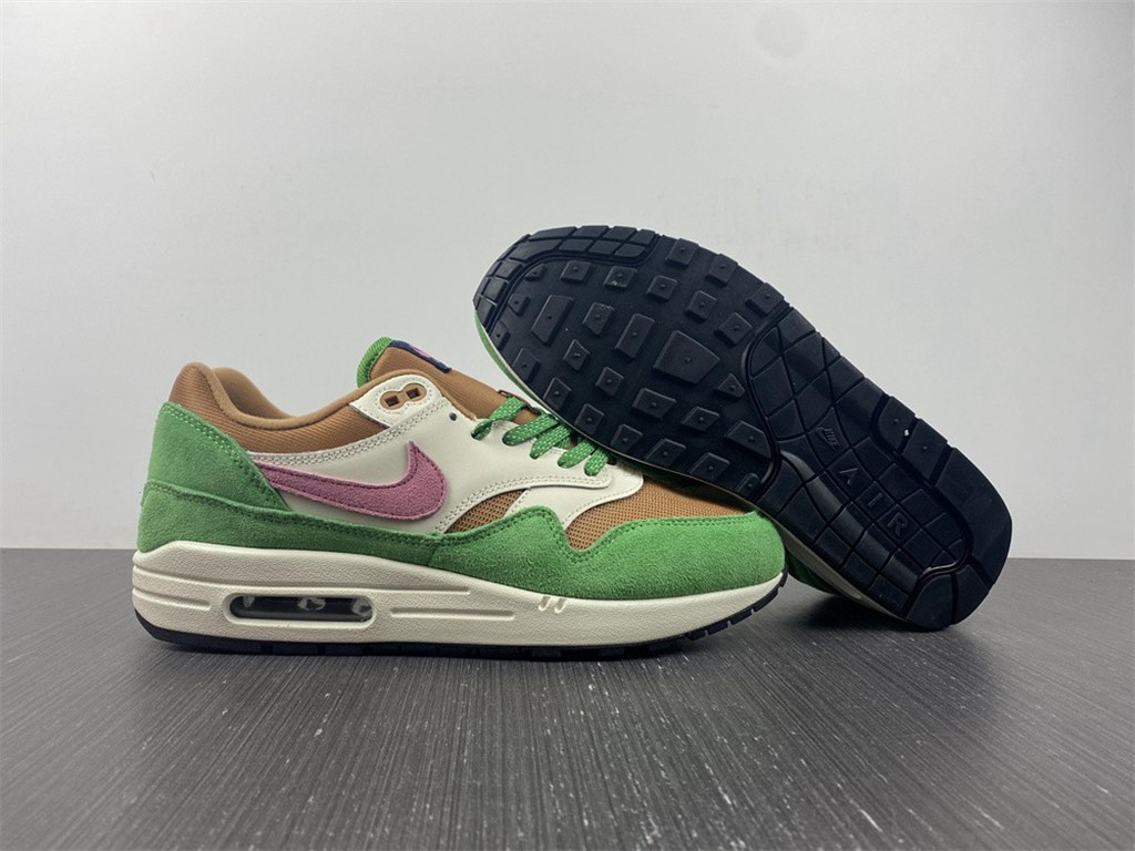 Nike Air Max 1 NH Treeline DR9773-300